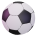 icon sport